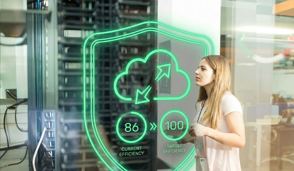 Ultra Fast Web Hosting